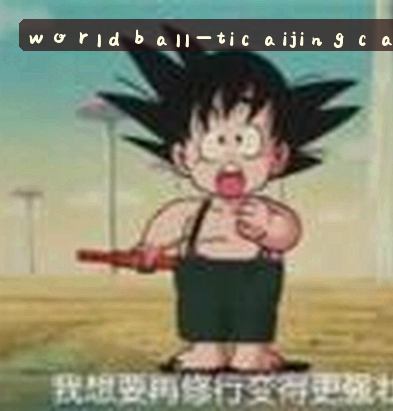王磊